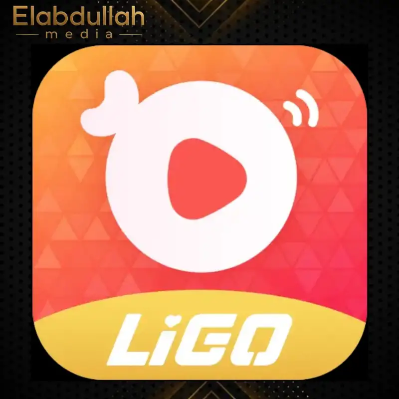 LIGO LIVE